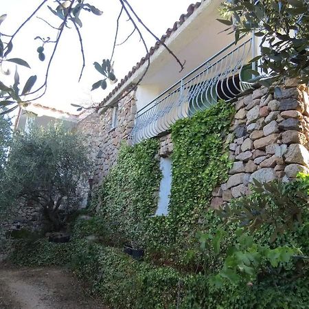 Hotel Casa In Campagna Dorgali Zewnętrze zdjęcie