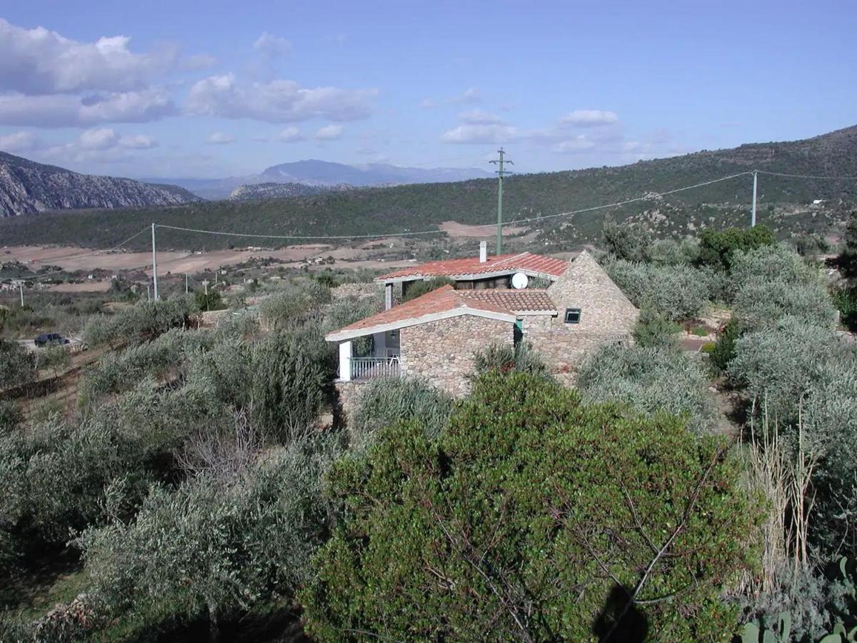 Hotel Casa In Campagna Dorgali Zewnętrze zdjęcie