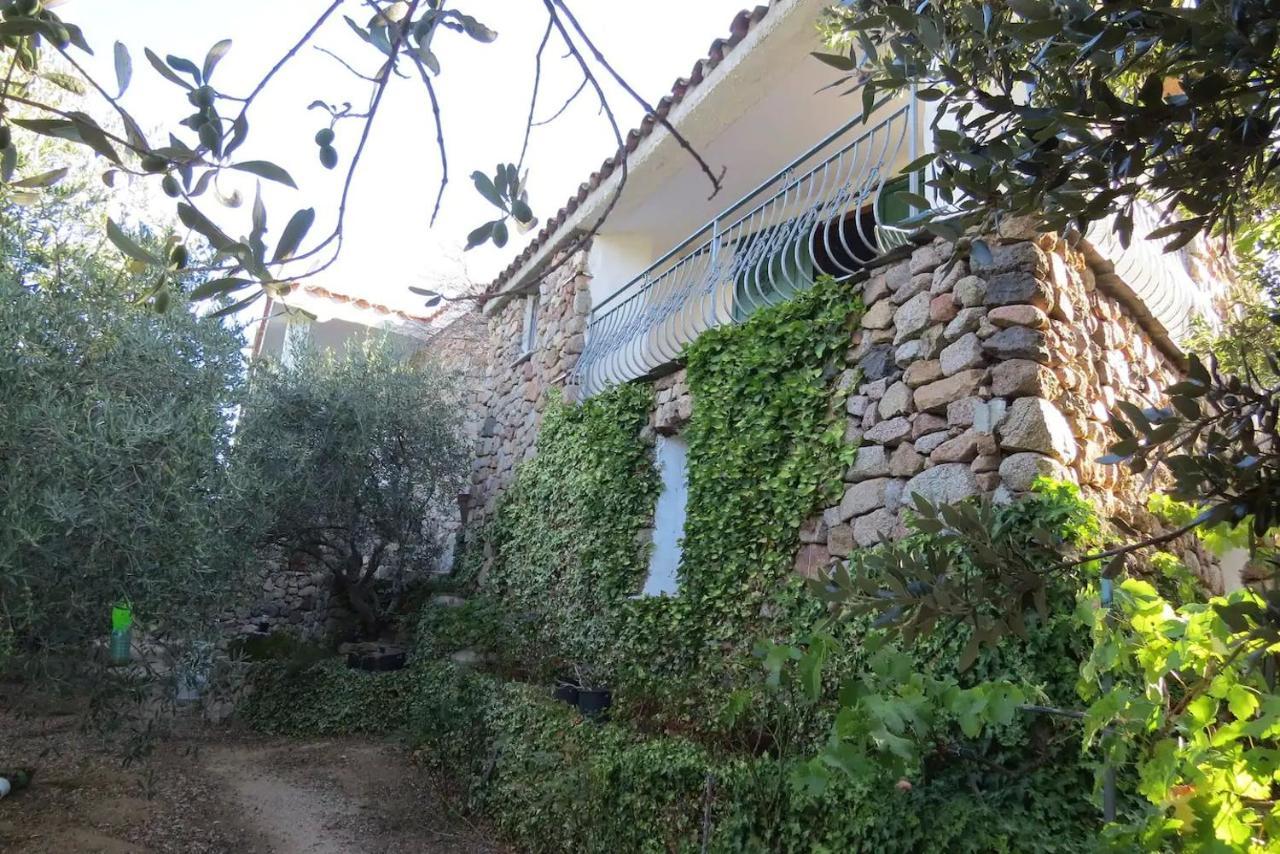 Hotel Casa In Campagna Dorgali Zewnętrze zdjęcie