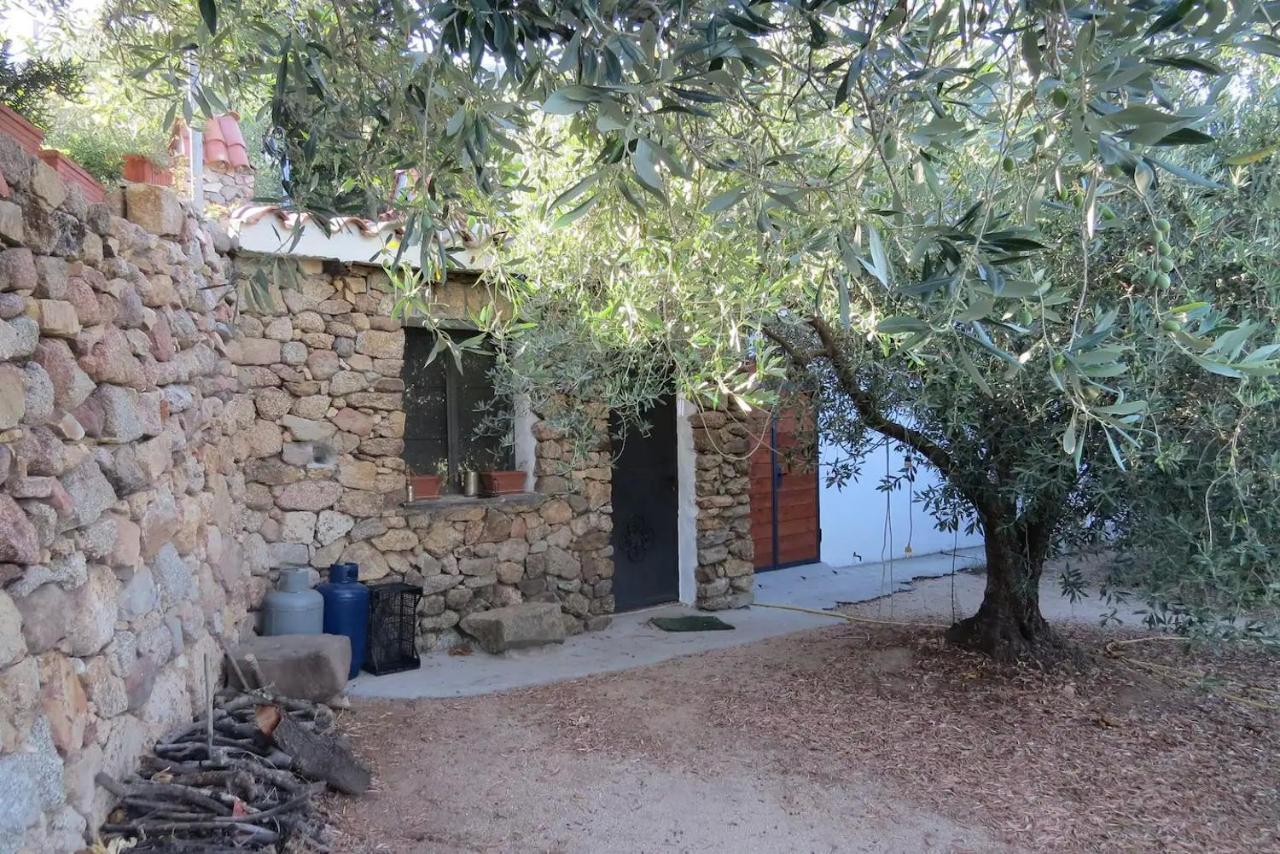 Hotel Casa In Campagna Dorgali Zewnętrze zdjęcie