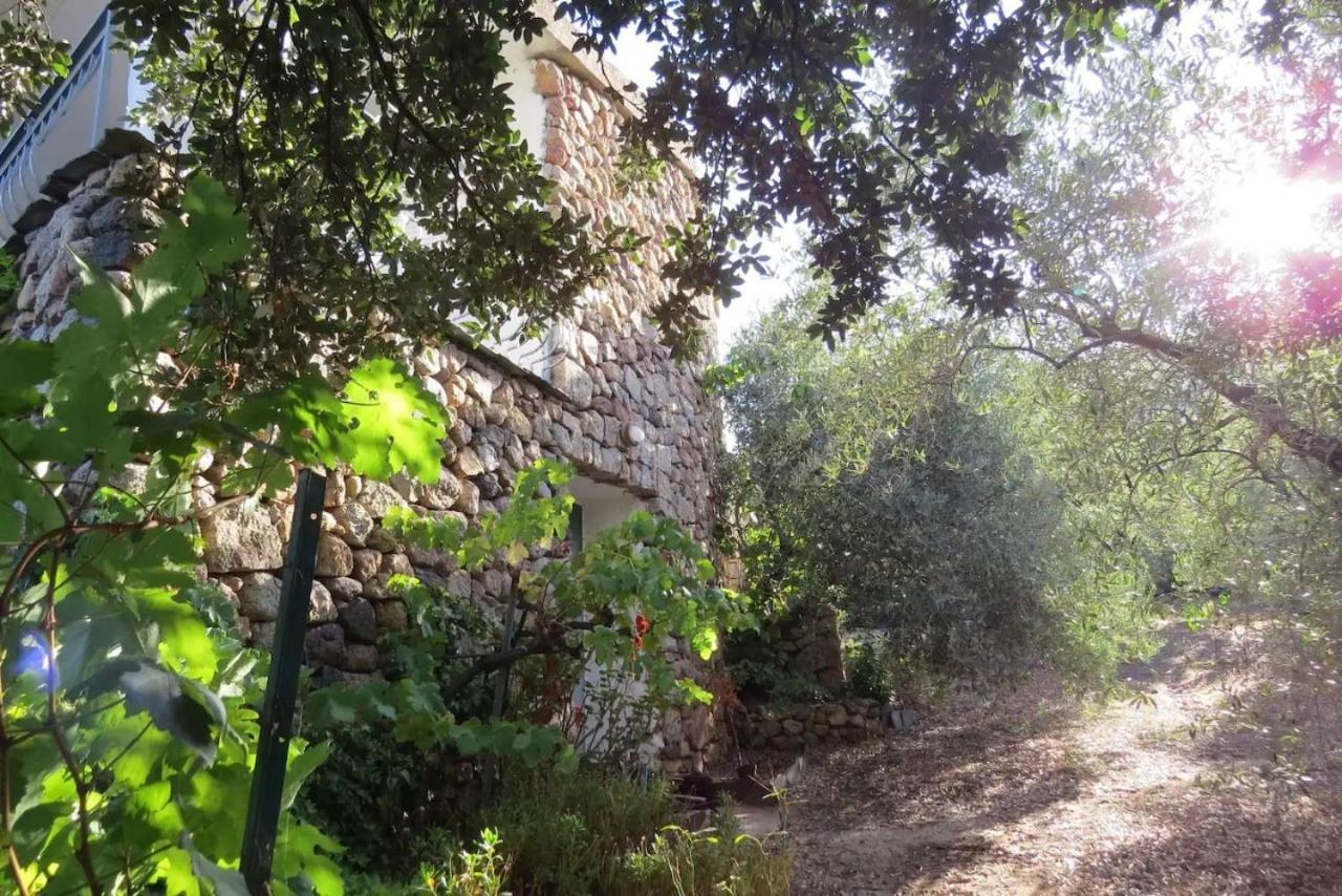 Hotel Casa In Campagna Dorgali Zewnętrze zdjęcie